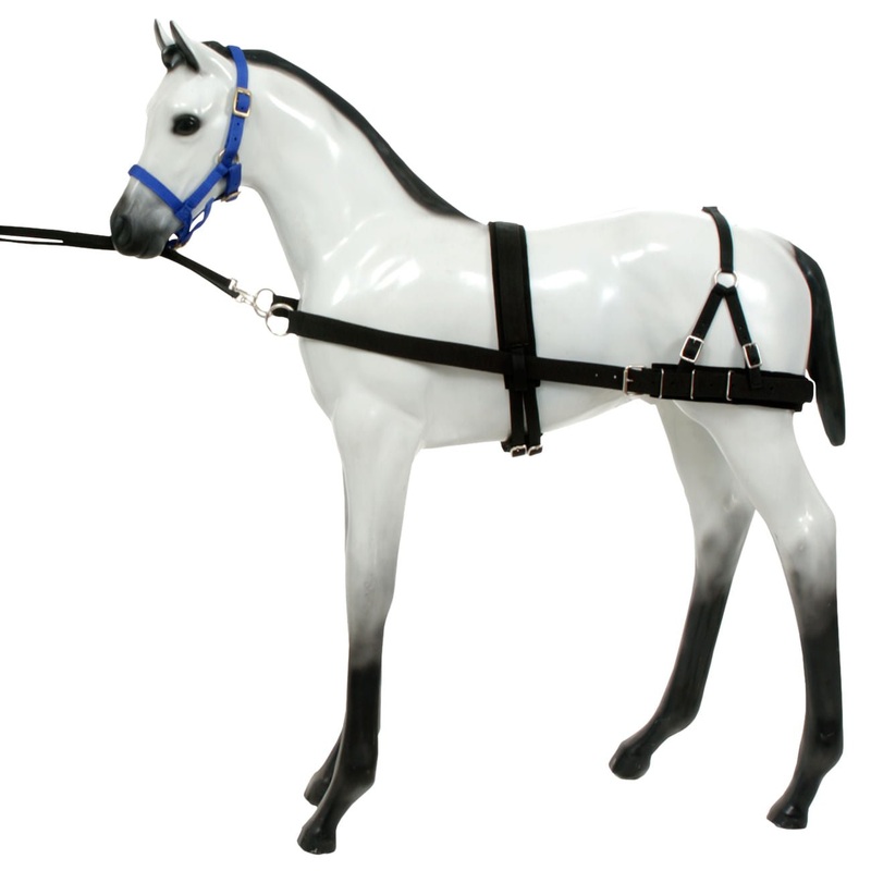 Foal Training Device