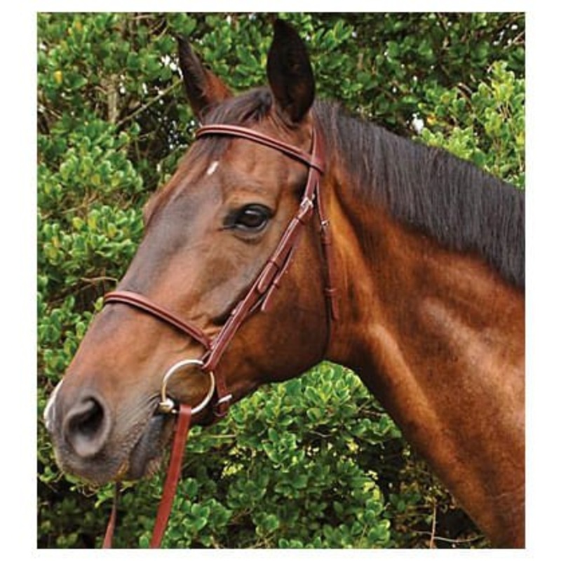 Weatherbeeta Kincade Plain Raised Bridle, Full size